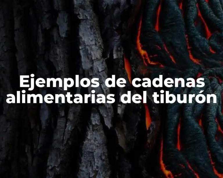 Ejemplos de cadenas alimentarias del tiburón