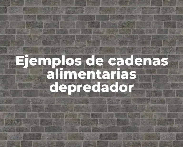 Ejemplos de cadenas alimentarias depredador