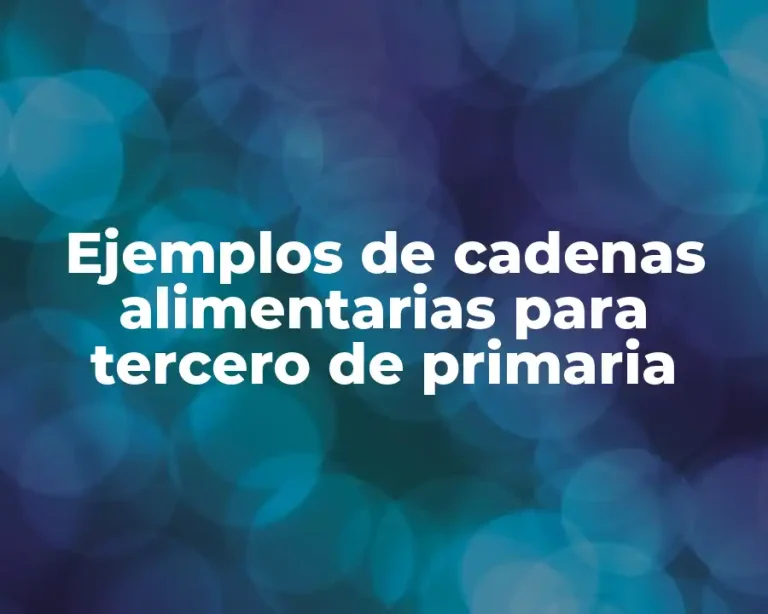 Ejemplos de cadenas alimentarias para tercero de primaria