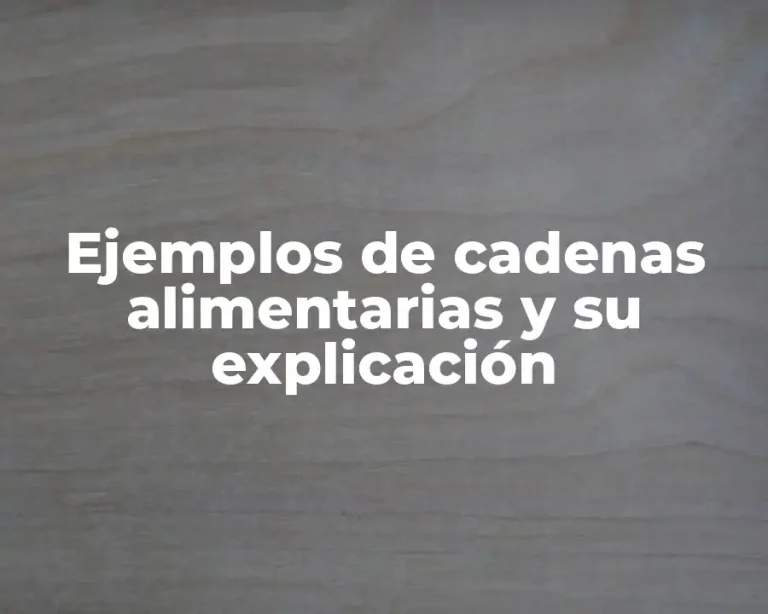 Ejemplos de cadenas alimentarias y su explicación