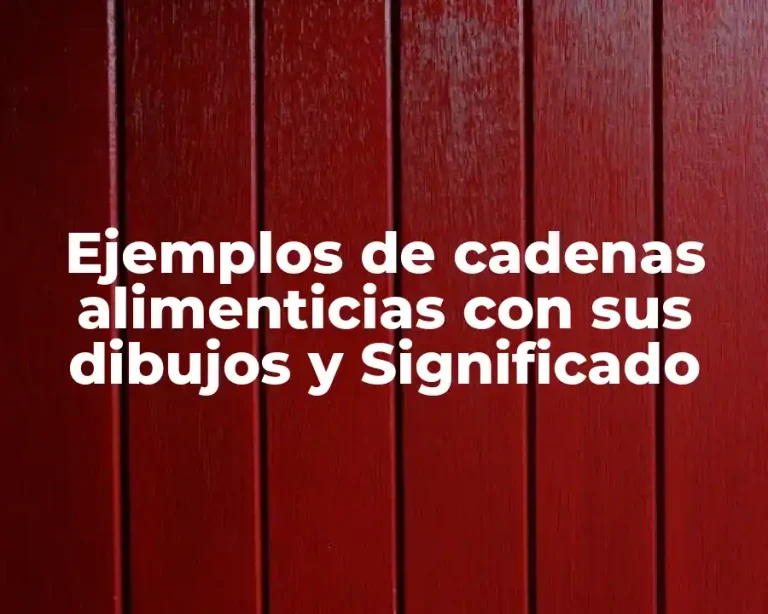 Ejemplos de cadenas alimenticias con sus dibujos y Significado