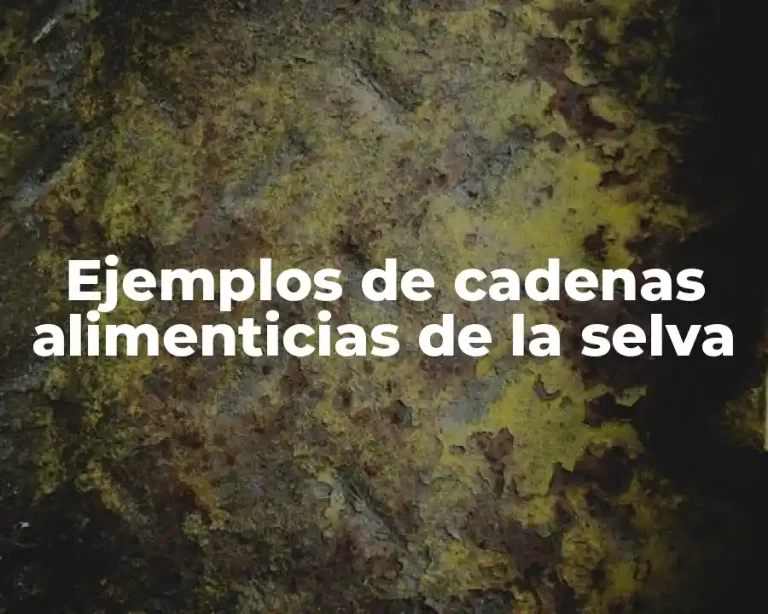 Ejemplos de cadenas alimenticias de la selva