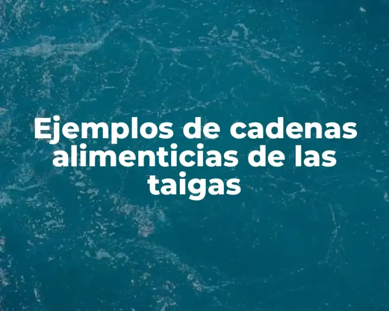 Ejemplos de cadenas alimenticias de las taigas