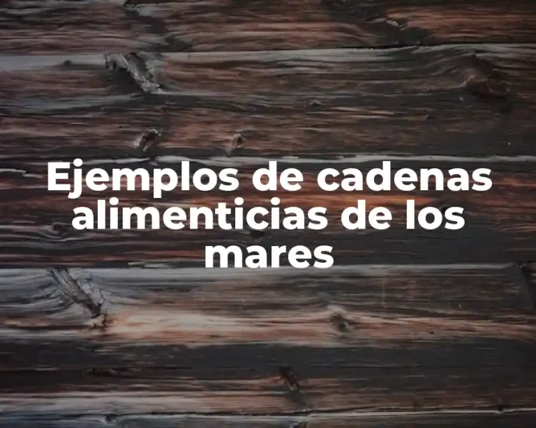 Ejemplos de cadenas alimenticias de los mares