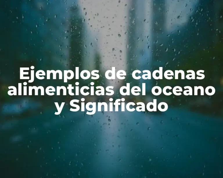 Ejemplos de cadenas alimenticias del oceano y Significado