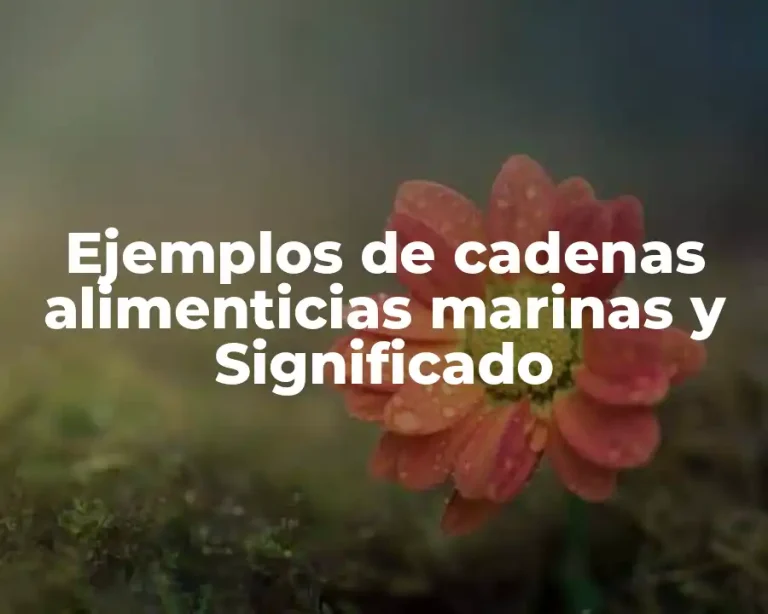 Ejemplos de cadenas alimenticias marinas y Significado
