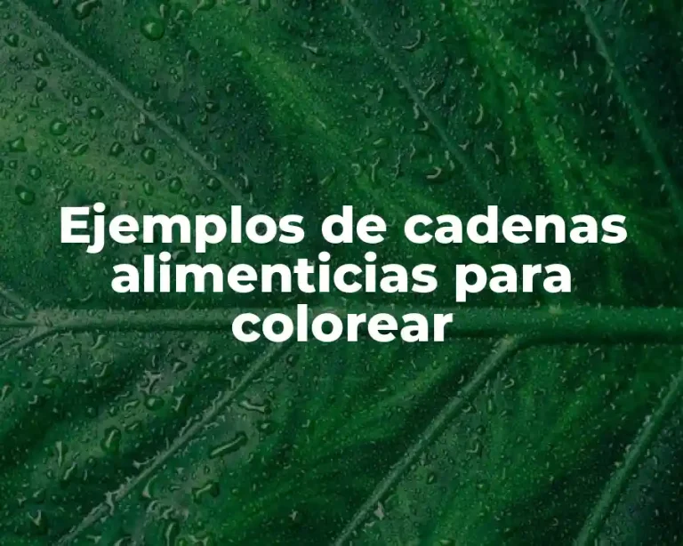 Ejemplos de cadenas alimenticias para colorear