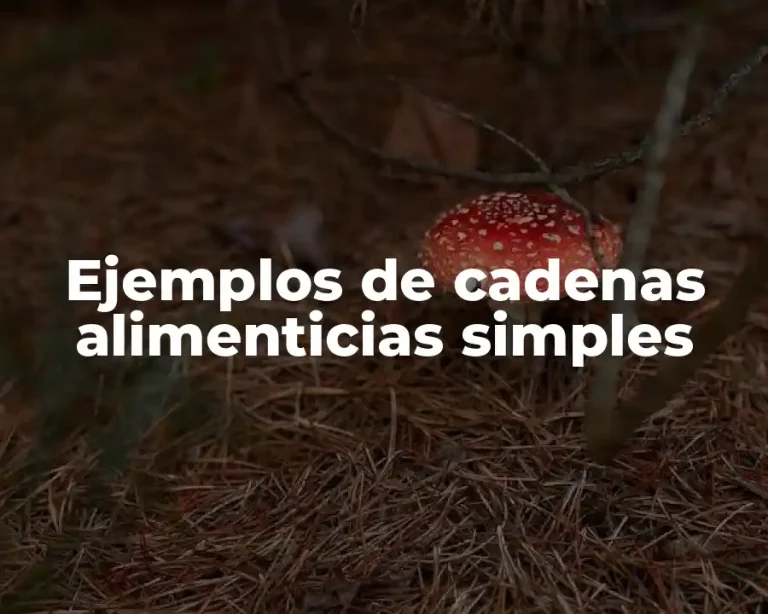 Ejemplos de cadenas alimenticias simples