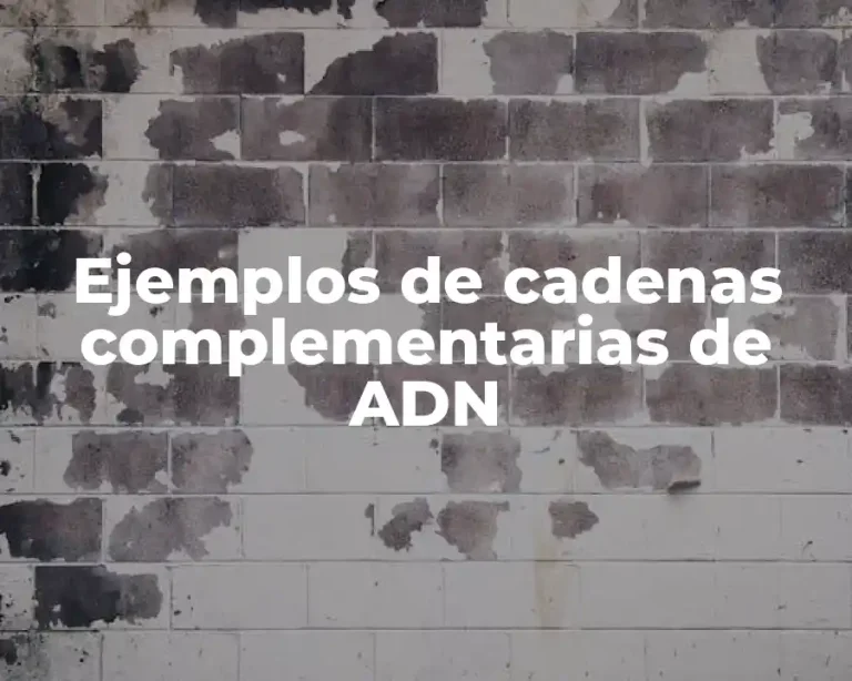 Ejemplos de cadenas complementarias de ADN