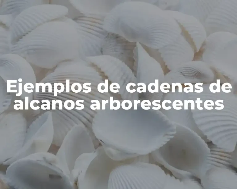 Ejemplos de cadenas de alcanos arborescentes