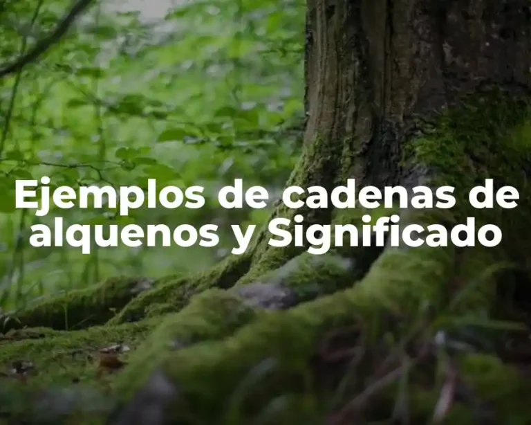 Ejemplos de cadenas de alquenos y Significado