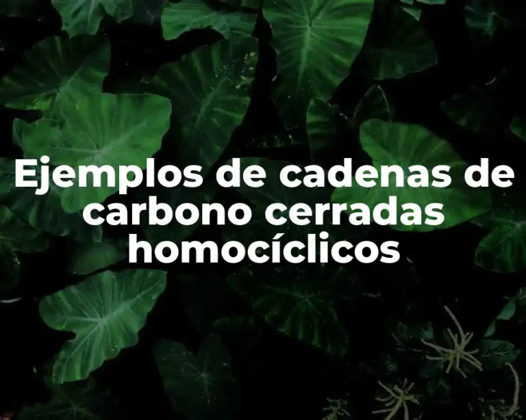 Ejemplos de cadenas de carbono cerradas homocíclicos