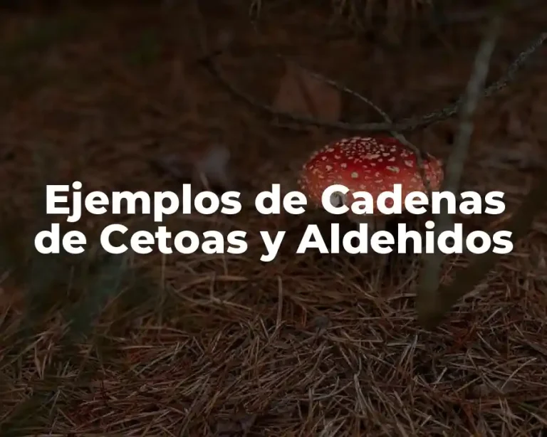 Ejemplos de Cadenas de Cetoas y Aldehidos