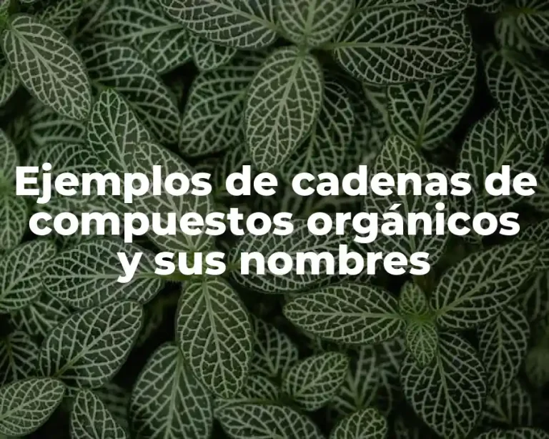 Ejemplos de cadenas de compuestos orgánicos y sus nombres