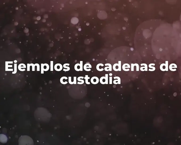 Ejemplos de cadenas de custodia