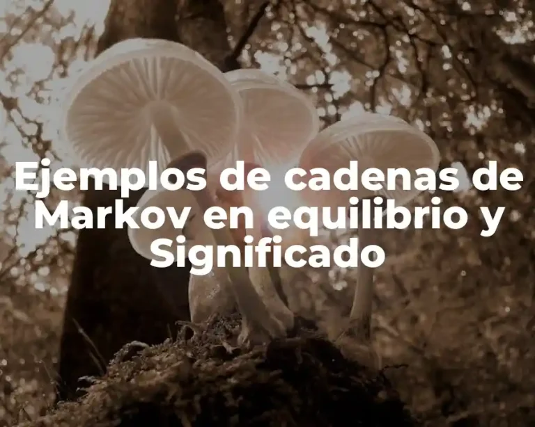 Ejemplos de cadenas de Markov en equilibrio y Significado