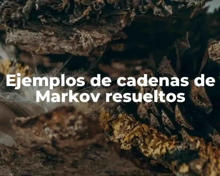 Ejemplos de cadenas de Markov resueltos