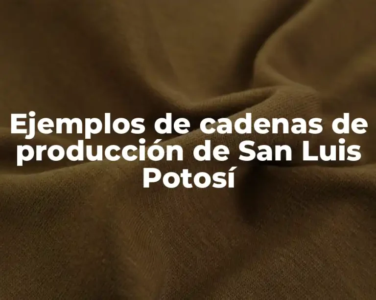 Ejemplos de cadenas de producción de San Luis Potosí