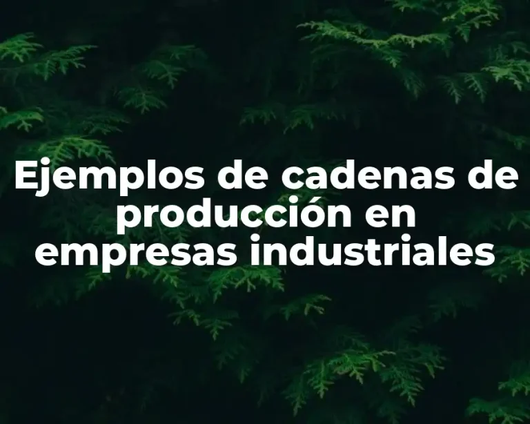 Ejemplos de cadenas de producción en empresas industriales