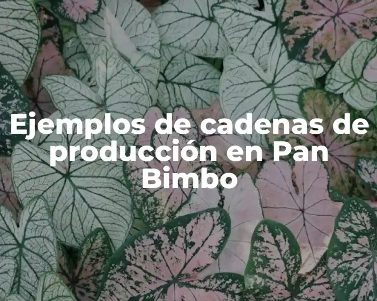 Ejemplos de cadenas de producción en Pan Bimbo