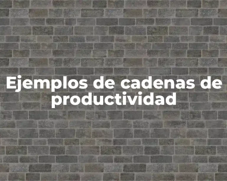 Ejemplos de cadenas de productividad