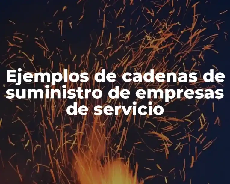 Ejemplos de cadenas de suministro de empresas de servicio
