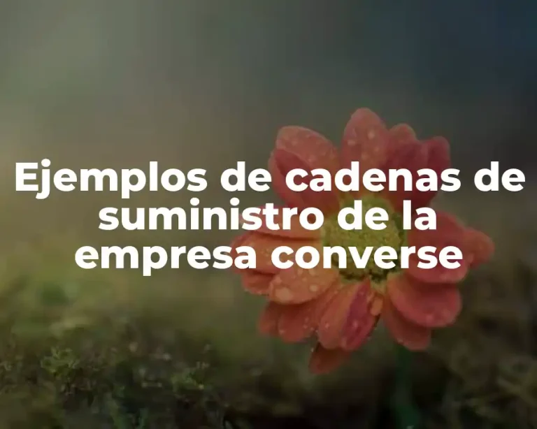 Ejemplos de cadenas de suministro de la empresa converse