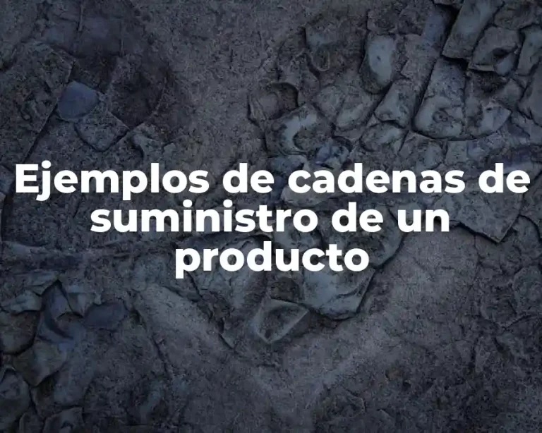 Ejemplos de cadenas de suministro de un producto