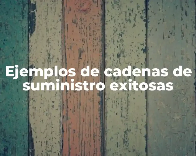 Ejemplos de cadenas de suministro exitosas