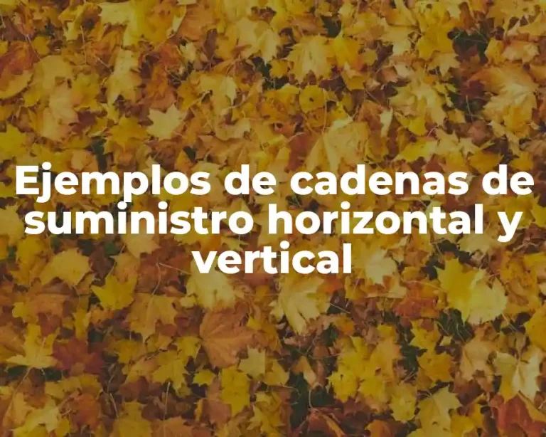 Ejemplos de cadenas de suministro horizontal y vertical