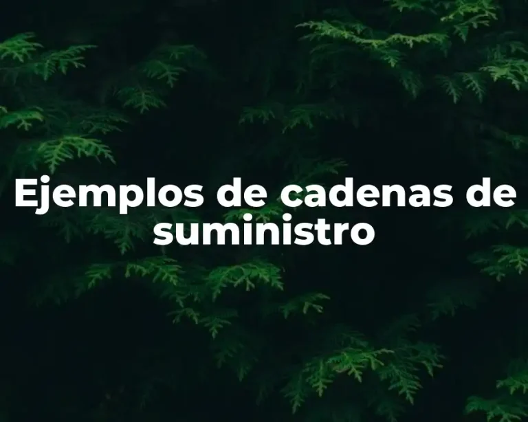 Ejemplos de cadenas de suministro