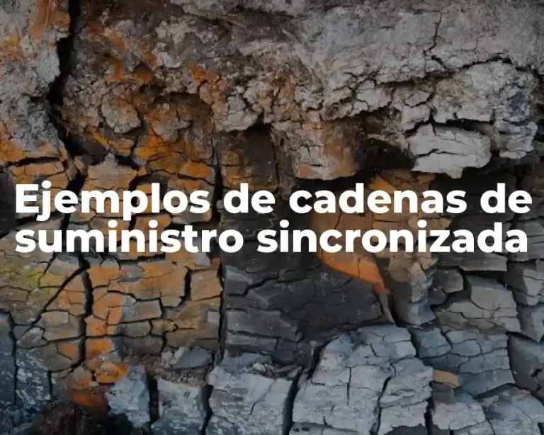 Ejemplos de cadenas de suministro sincronizada