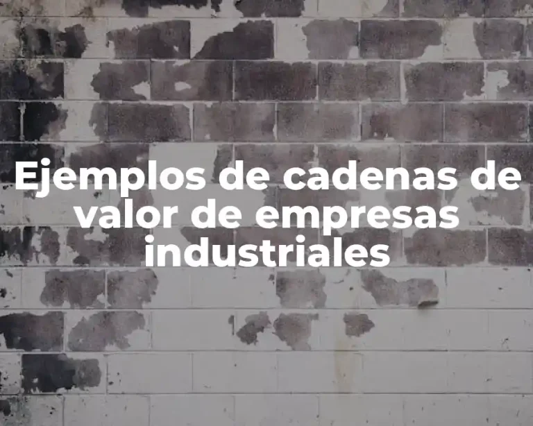 Ejemplos de cadenas de valor de empresas industriales