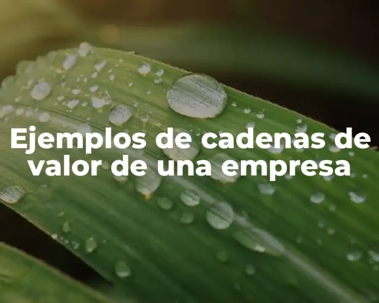 Ejemplos de cadenas de valor de una empresa