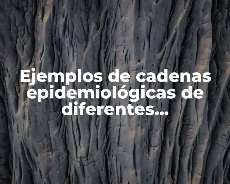 Ejemplos de cadenas epidemiológicas de diferentes enfermedades