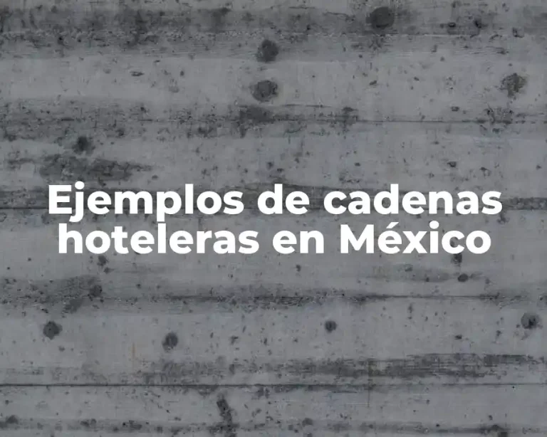 Ejemplos de cadenas hoteleras en México