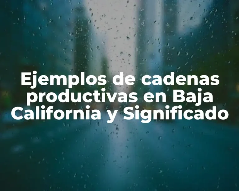 Ejemplos de cadenas productivas en Baja California y Significado