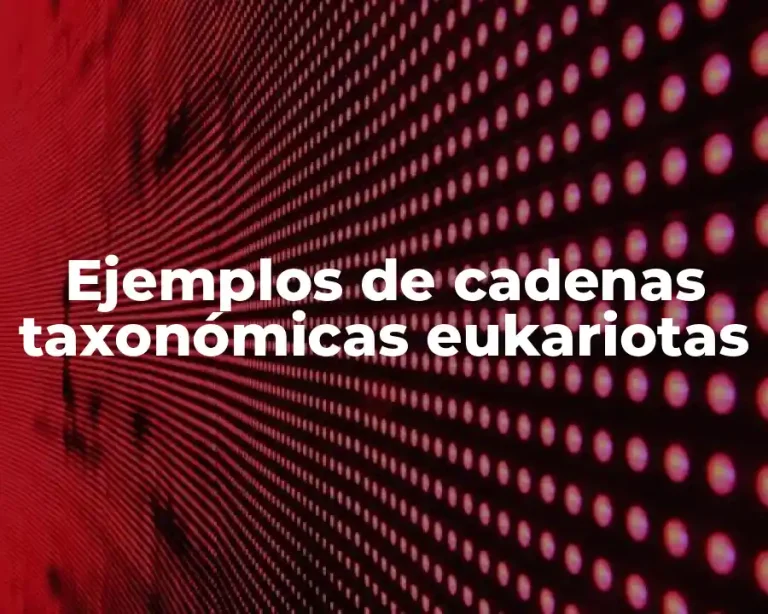 Ejemplos de cadenas taxonómicas eukariotas
