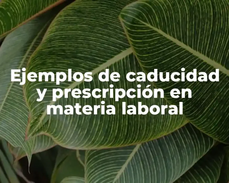 Ejemplos de caducidad y prescripción en materia laboral