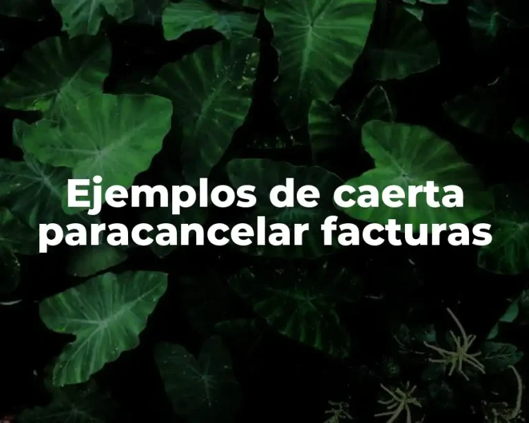 Ejemplos de caerta paracancelar facturas