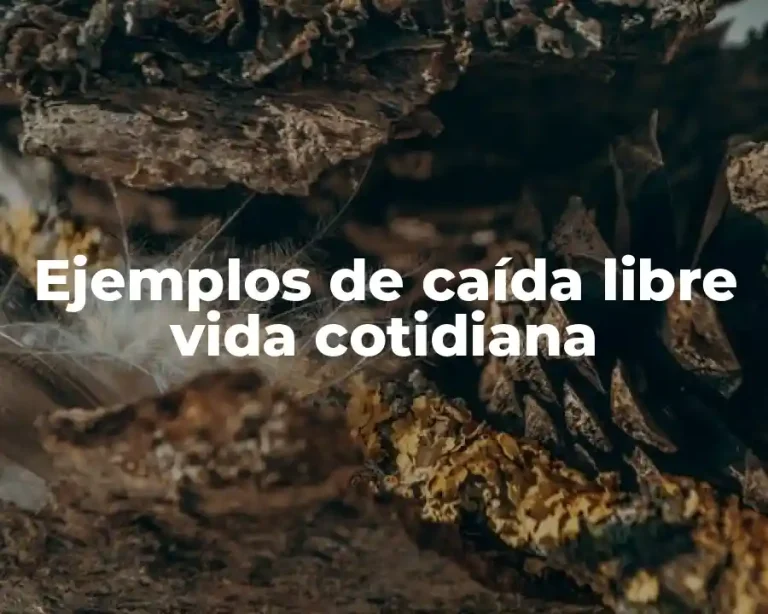 Ejemplos de caída libre vida cotidiana