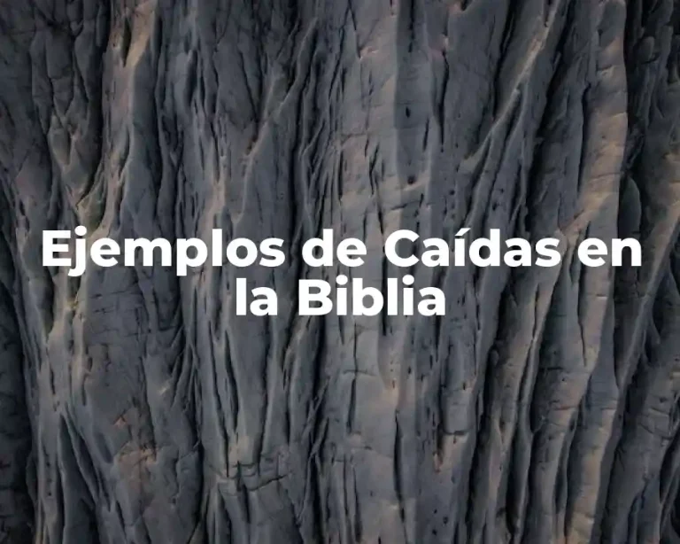 Ejemplos de Caídas en la Biblia