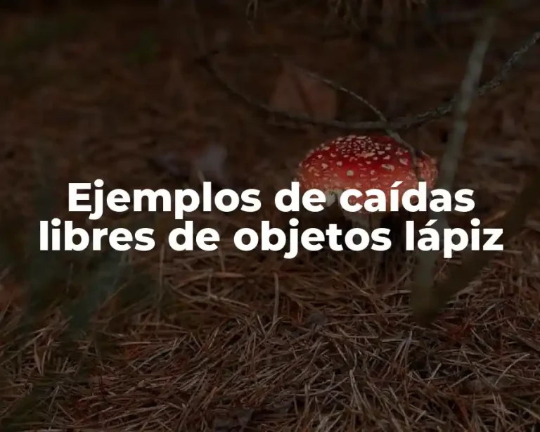 Ejemplos de caídas libres de objetos lápiz