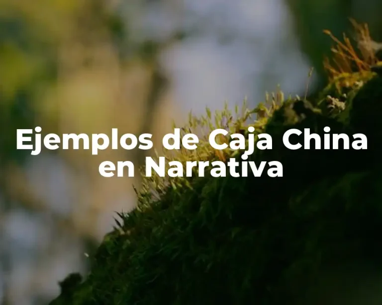 Ejemplos de Caja China en Narrativa