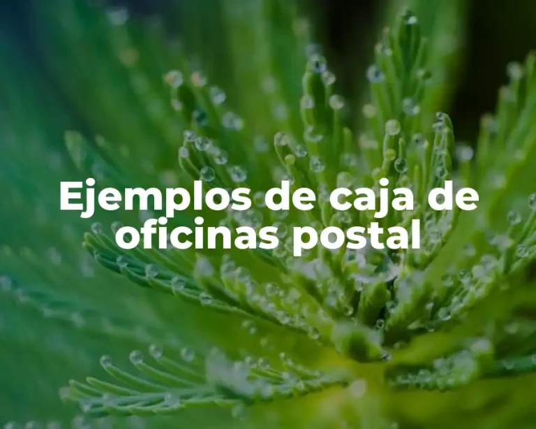 Ejemplos de caja de oficinas postal
