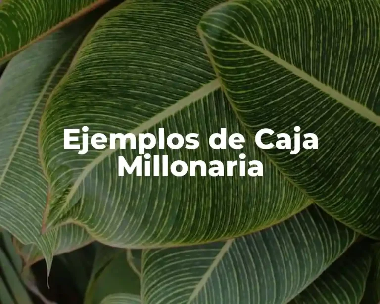 Ejemplos de Caja Millonaria