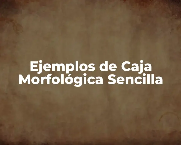 Ejemplos de Caja Morfológica Sencilla