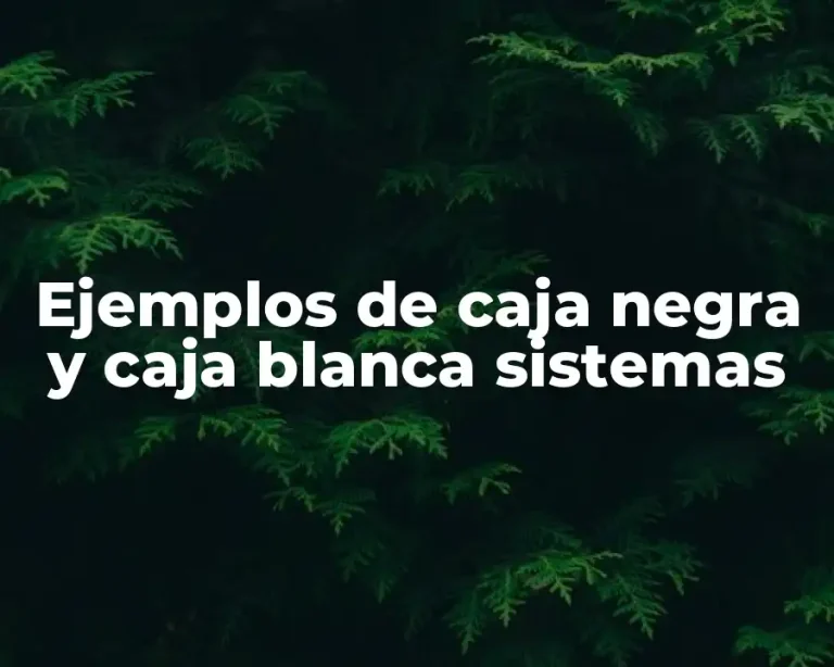 Ejemplos de caja negra y caja blanca sistemas