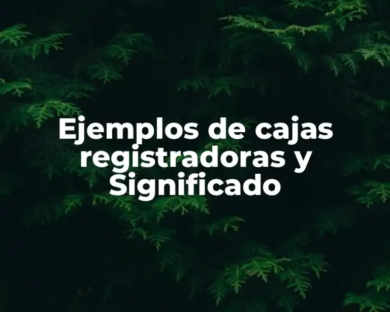 Ejemplos de cajas registradoras y Significado