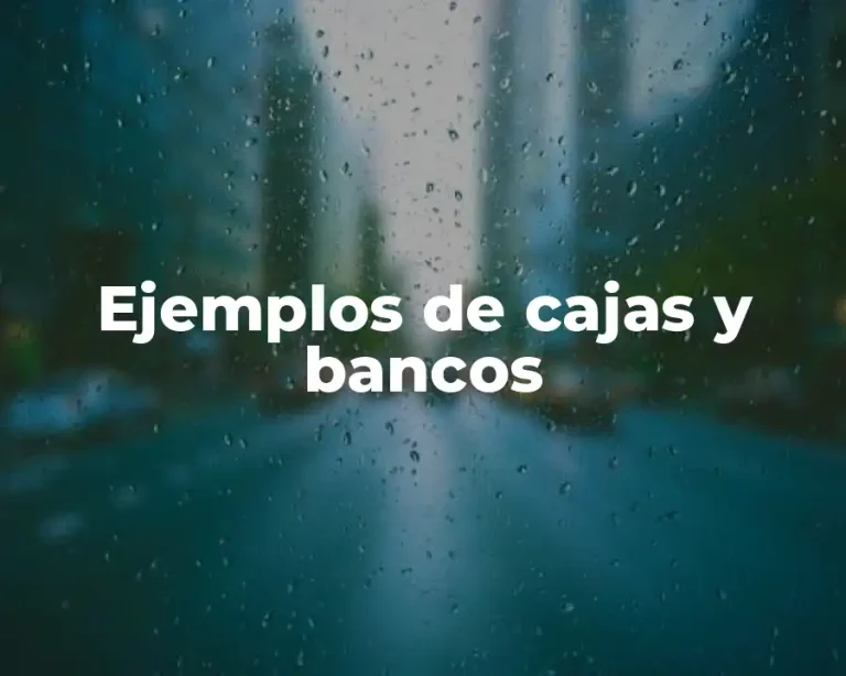 Ejemplos de cajas y bancos